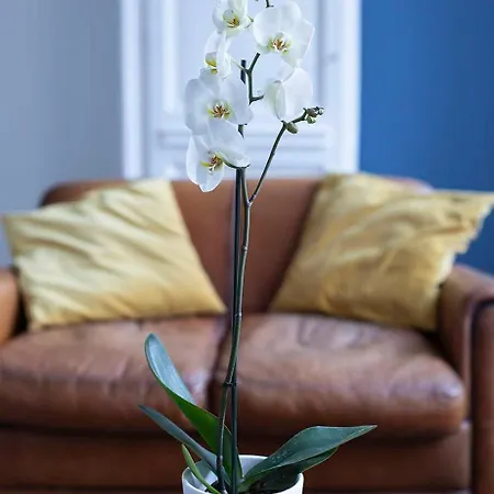 Nuit Zen - Jacuzzi - Centre Historique