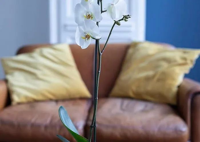 Nuit Zen - Jacuzzi - Centre Historique