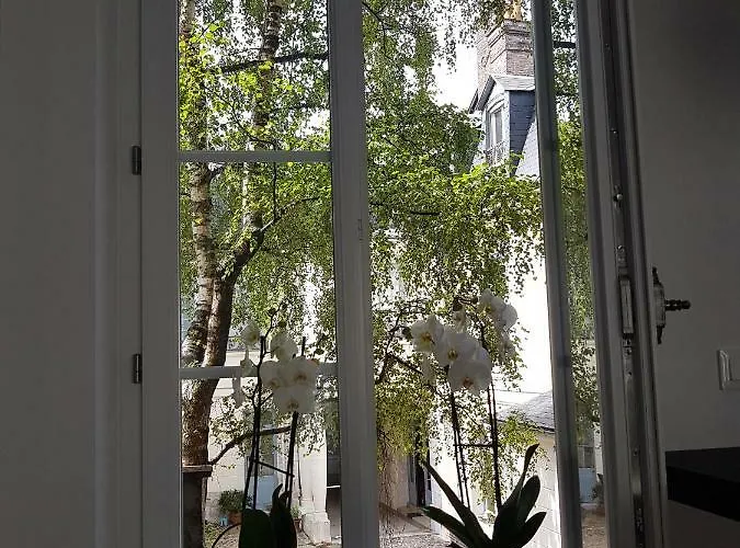 Appartement Nuit Zen - Jacuzzi - Centre Historique